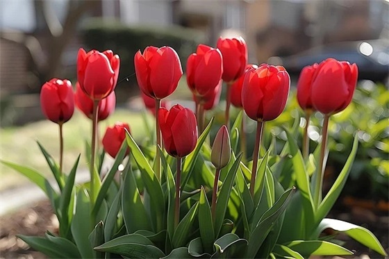 帅气冷酷一点的qq名字