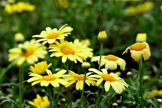 问候病人最温暖的话