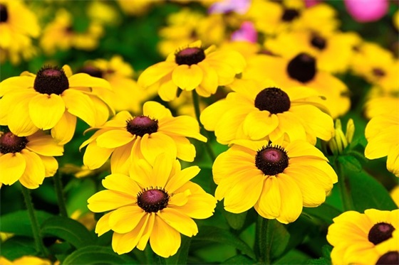 关于毕业感人的话91句