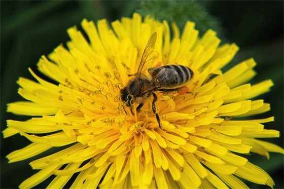 出门在外的一些话语84句
