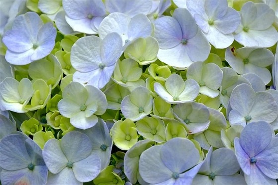 关心女朋友的话语95句