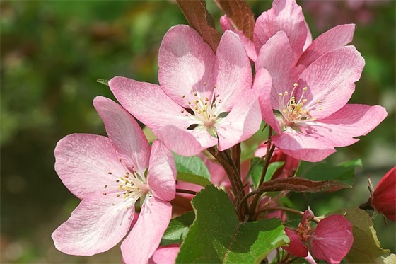 2025年中秋微信祝福83句