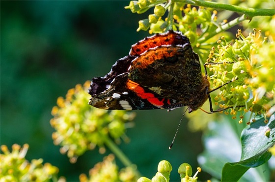 满月寄语对宝贝说的-65句