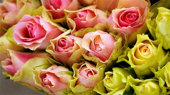 六年级毕业寄语简短10字内-61句