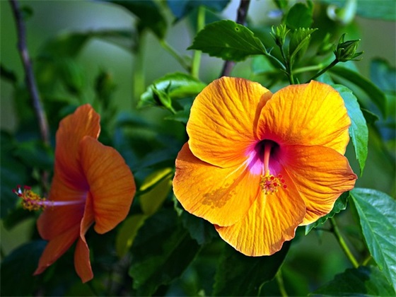 大班毕业寄语简短精辟句子-54句