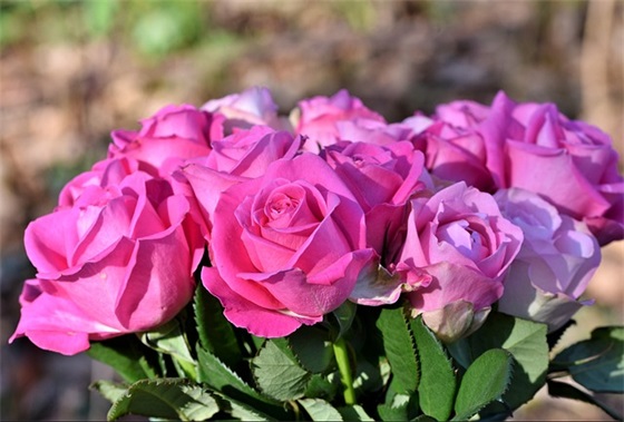 幼儿园教师对孩子们的毕业寄语简短-55句