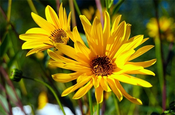 缅怀革命先烈家长寄语-51句