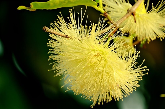 家长对宝宝的寄语幼儿园-56句