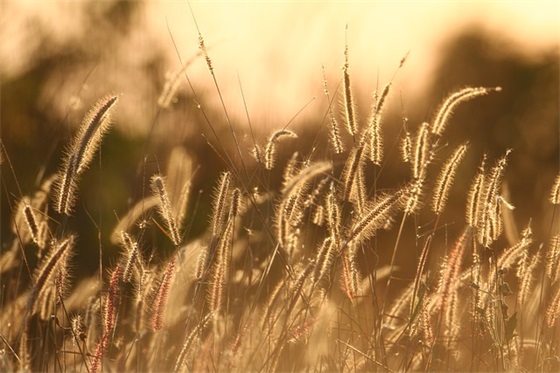 幼儿园孩子的开学寄语-62句