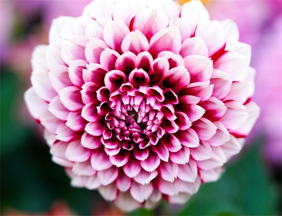 儿童节家长寄语 【儿童节家长寄语简短】