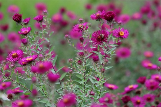 幼儿园爸爸的寄语怎么写-95句