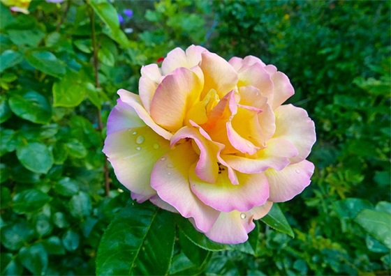 家长对18岁孩子的寄语 【18周岁家长寄语】