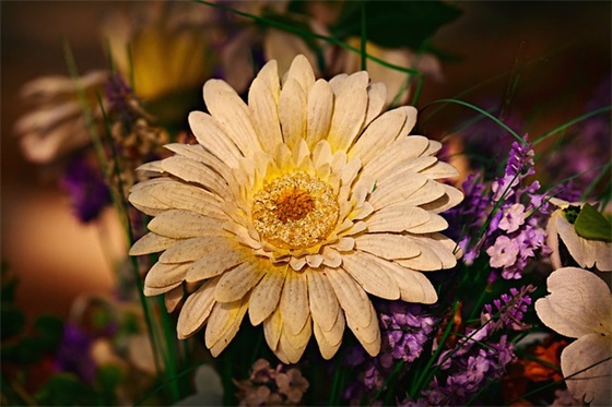 毕业季送给学生的寄语 【100句精选】