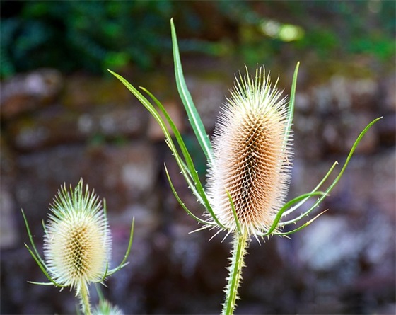 怎么给宝宝写幼儿园毕业寄语 【怎么给宝宝写幼儿园毕业寄语简短】