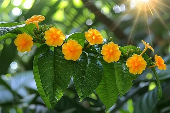 幼儿园绘本寄语 【幼儿绘本寄语怎么写】