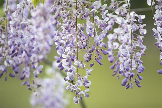 给优生的寄语 【100句精选】