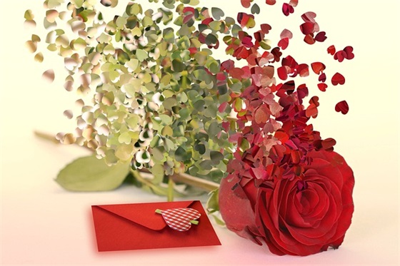 幼儿园大班毕业家长寄语简短的 【幼儿园大班毕业家长寄语怎么写简短】