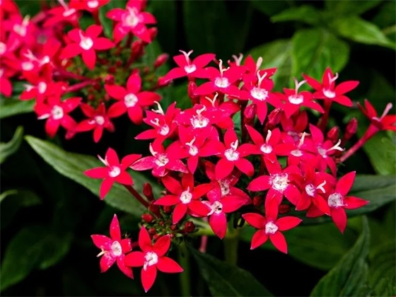 跆拳道家长期望与寄语 【跆拳道家长期望与寄语怎么写】