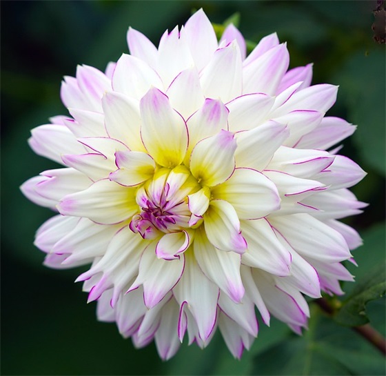 毕业寄语怎么给孩子写 【毕业给孩子的寄语】