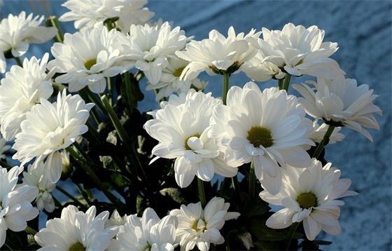 怀念已故父亲的寄语 【100句精选】