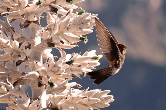 幼儿园卡片寄语怎么写 【幼儿园卡片寄语怎么写简单】