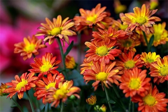 毕业父母对孩子的简短寄语 【父母对毕业孩子的祝福语】