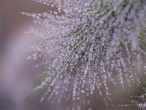 对儿子的小学毕业寄语 【对儿子的小学毕业寄语简短】