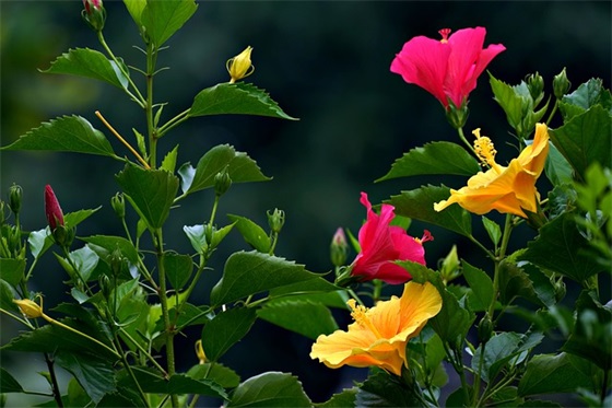 父母寄语孩子家长对孩子的寄语 【父母对孩子寄语精选100句】