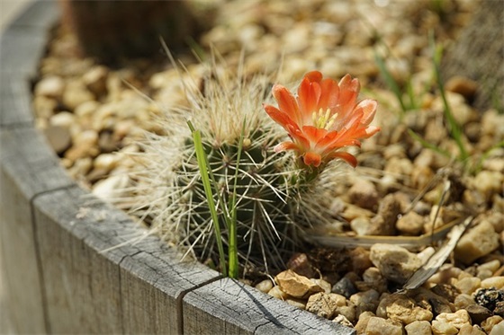 五四青年节青春寄语-67句