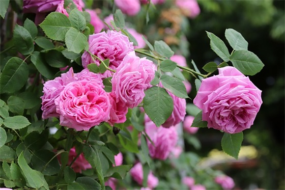 一年级期末后对孩子的寄语-51句