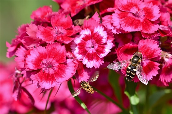 抖音迎接12月的句子 抖音霸气单身短句