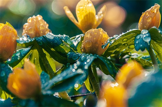 让人感动到哭的句子 让人感动到哭的爱情句子