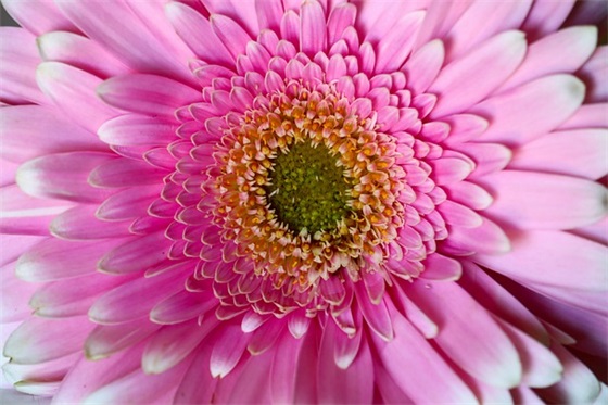 描写夏雨的优美句子