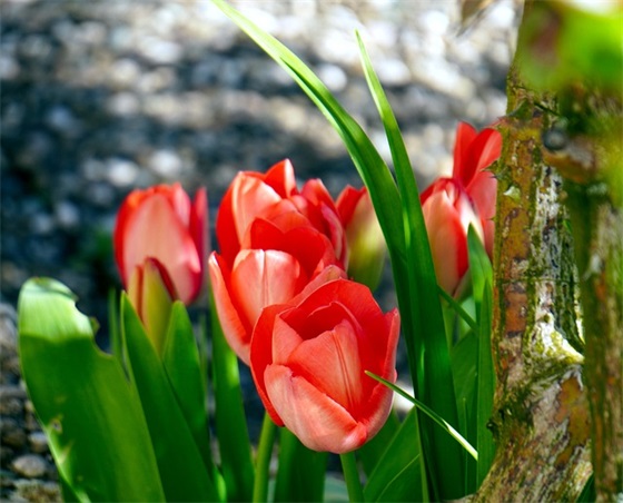 过生日写给自己的小句子