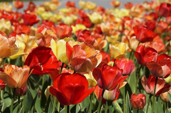 青春的句子简短励志