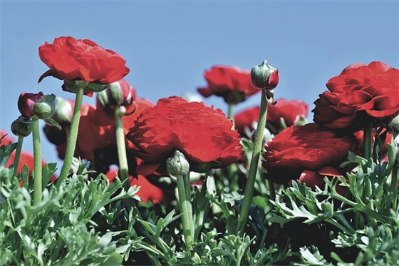 有点伤感的句子(有那些伤感的句子)