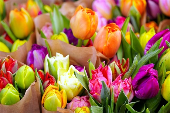 清晨的文案句子(清晨与微风的文案句子)