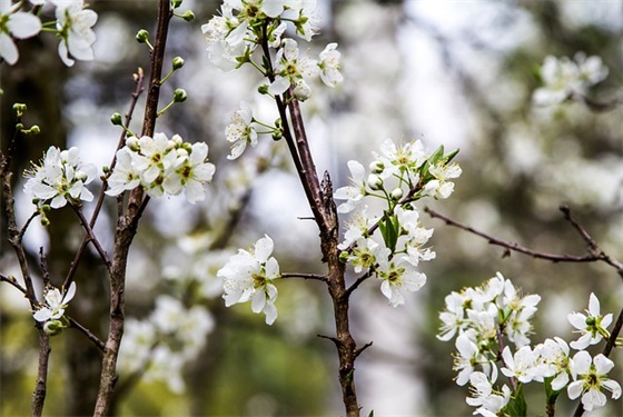 描写开学的优美句子大全2025(开学第一课优美句子)