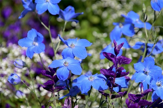 关于春天的优美句子摘抄简短