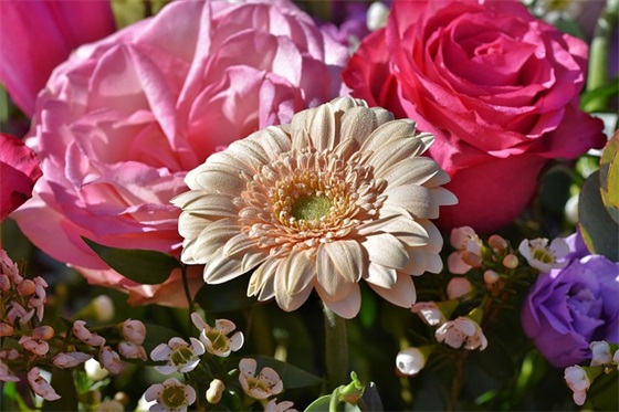 淘宝给商家好评句子