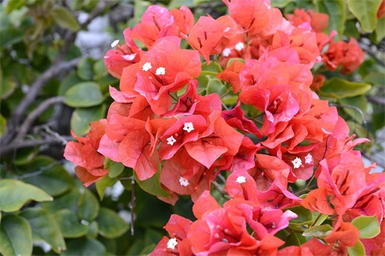 寒冷冬日温暖的句子