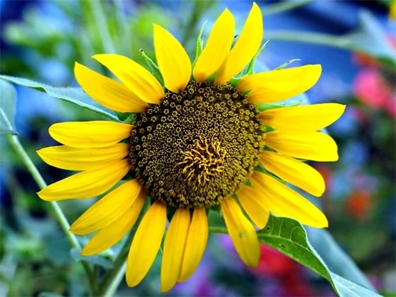 人不相信人的句子 不要轻易相信任何人的句子