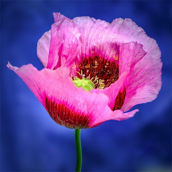 送走四月迎来五月的优美句子