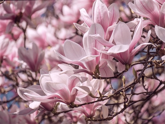 最新女生伤心的句子 失落伤感心情句子