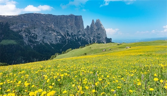 最有气质的女孩微信名(共736个)