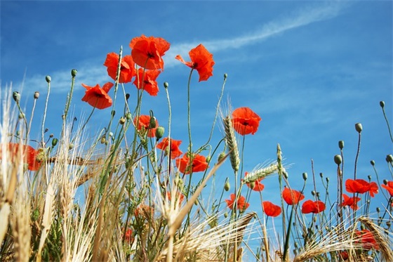 女生网名霸气500个