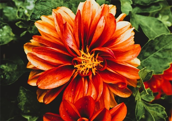 4个字的微信昵称好听的微信名(精选738个)