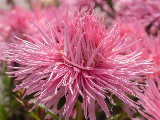 四个字独特的微信名字(优选738个)