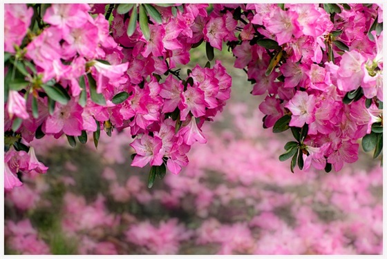 霸气好听的网游名字(精选707个)