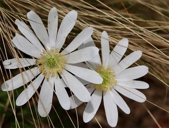 带海丽的微信网名